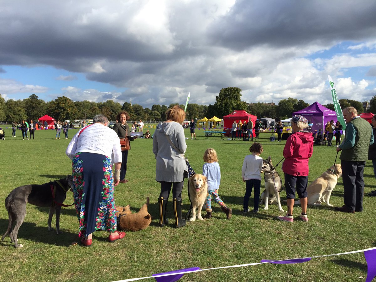 amyswalkies's tweet photo. Veterans ! Golden oldies @ClaphamCommon1 @ClaphamDogShow https://t.co/mGj8sbrU7L