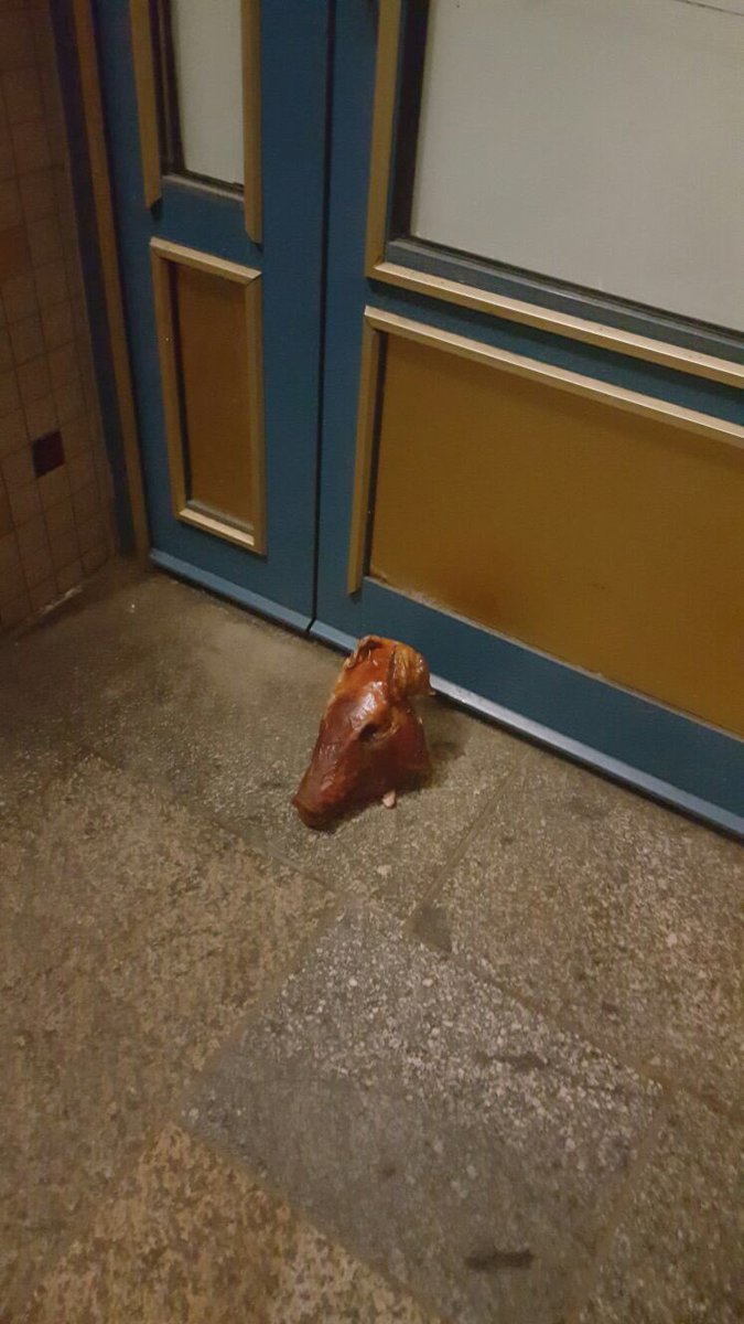 alx_froehlich's tweet photo. Schweinekopf vor Moschee in #Potsdam, Muslime machen AfD mitverantwortlich, SPD zieht Vergleich zu Nazi-Zeit @PNN_de
https://t.co/0L36WFngrn https://t.co/n7zodO1DnU