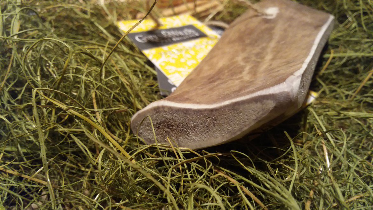 Single_Eye's tweet image. Natural Fallow Antler Dog or Puppy Chew - Chews by Green &amp;amp; Wild for #dogs ebay.eu/2dvq6K8