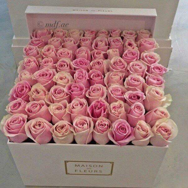 AlaaJunniat's tweet photo. سُبحَان الذي إذا ذَكرتَهُ ذكَرَك ، و إن شكَرتَهُ زادَك ، و إن توكّلت عليه كفَاك ، سُبحانَ الله وَبِحمدِه ، #سُبحَانَ #الله #العَ��ِيم . https://t.co/FyGEiZFi5T
