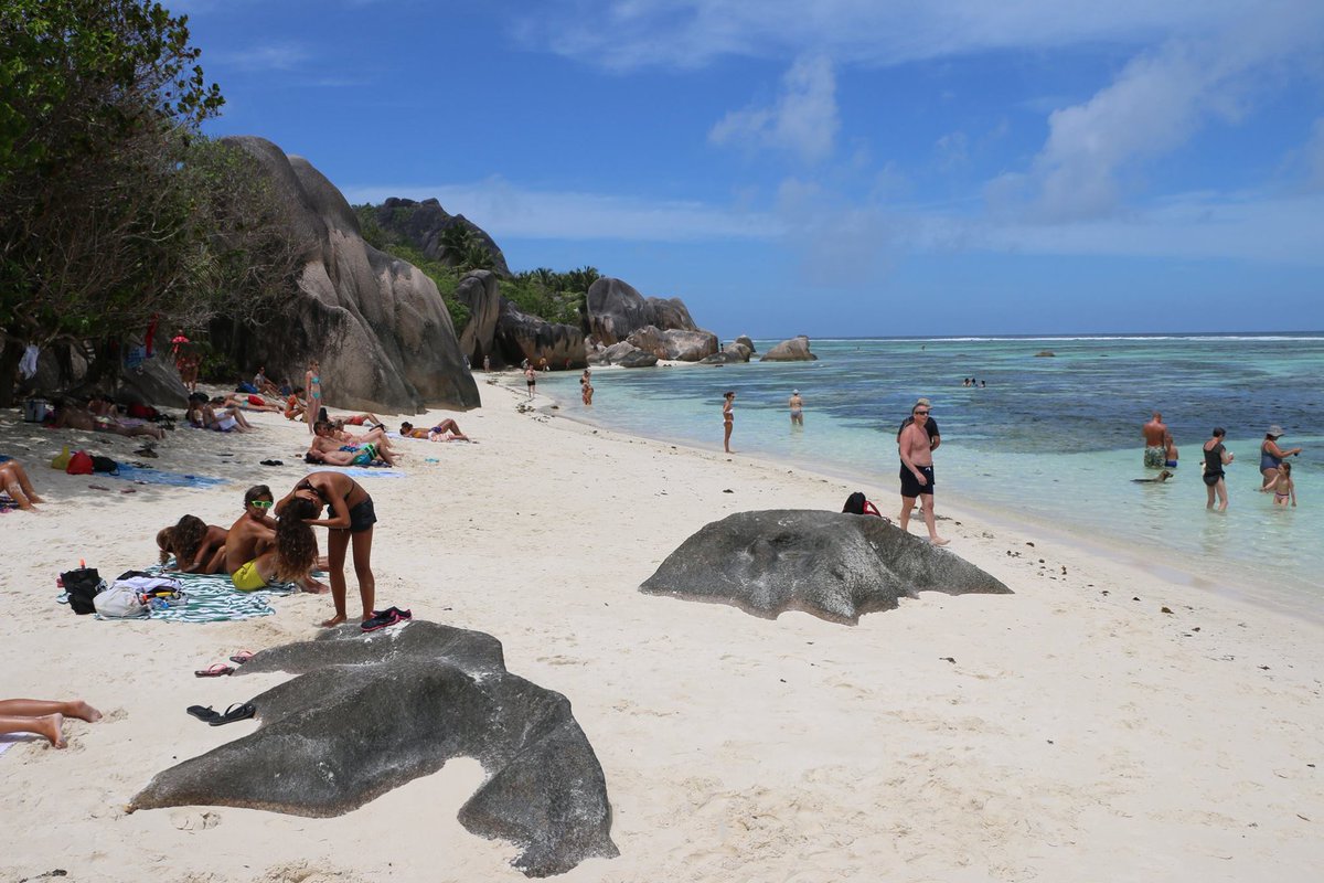 キヤノンマーケティングジャパン No Twitter これから放映 今夜の世界遺産は マダガスカルの北に位置するセーシェル諸島のメ渓谷自然保護区です ぜひご覧ください 詳細 T Co 7s3imec0nl Tbs 世界遺産 セーシェル諸島 メ渓谷自然保護区