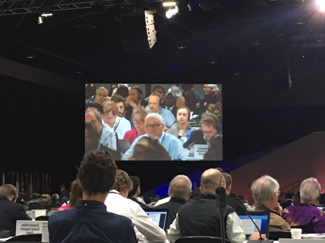 amandamayhew_DC's tweet photo. @ParrotTrust intervenes on behalf of #AfricanGreyParrot @ #CITESCoP17 #SaveGreys https://t.co/T31xzHsaZ2
