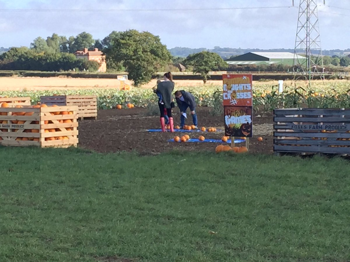 FoxesProduce's tweet photo. Who fancies playing a pumpkin fun game?! #pumpkins #pumpkinpatch #pumpkinsarefun https://t.co/4QFDd4QH6u