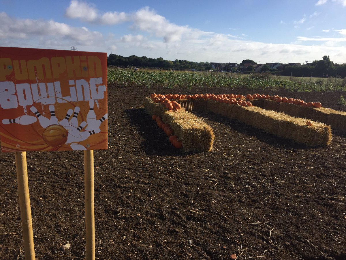 FoxesProduce's tweet photo. Who fancies playing a pumpkin fun game?! #pumpkins #pumpkinpatch #pumpkinsarefun https://t.co/4QFDd4QH6u