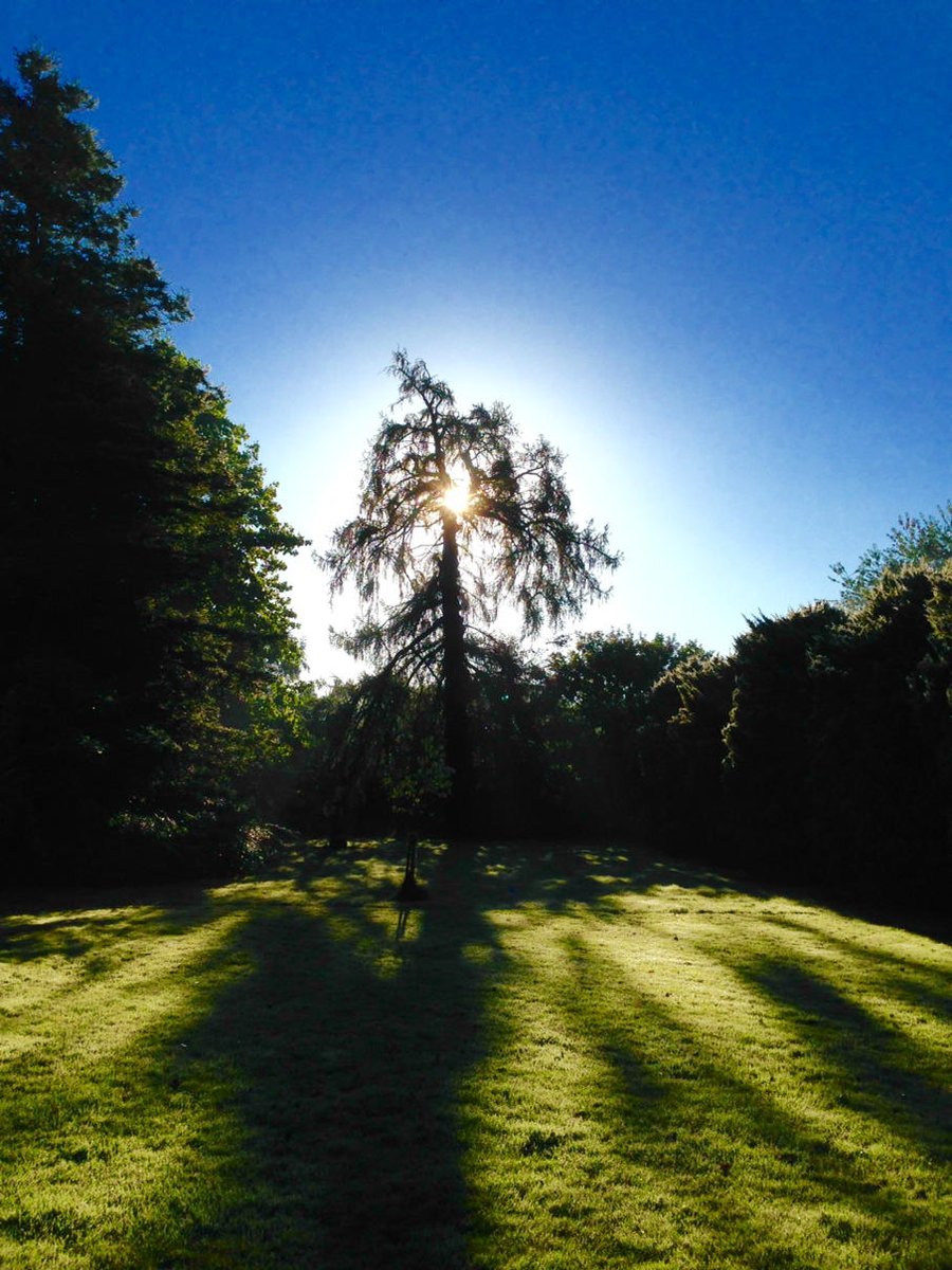 The Isle Estate tweet media