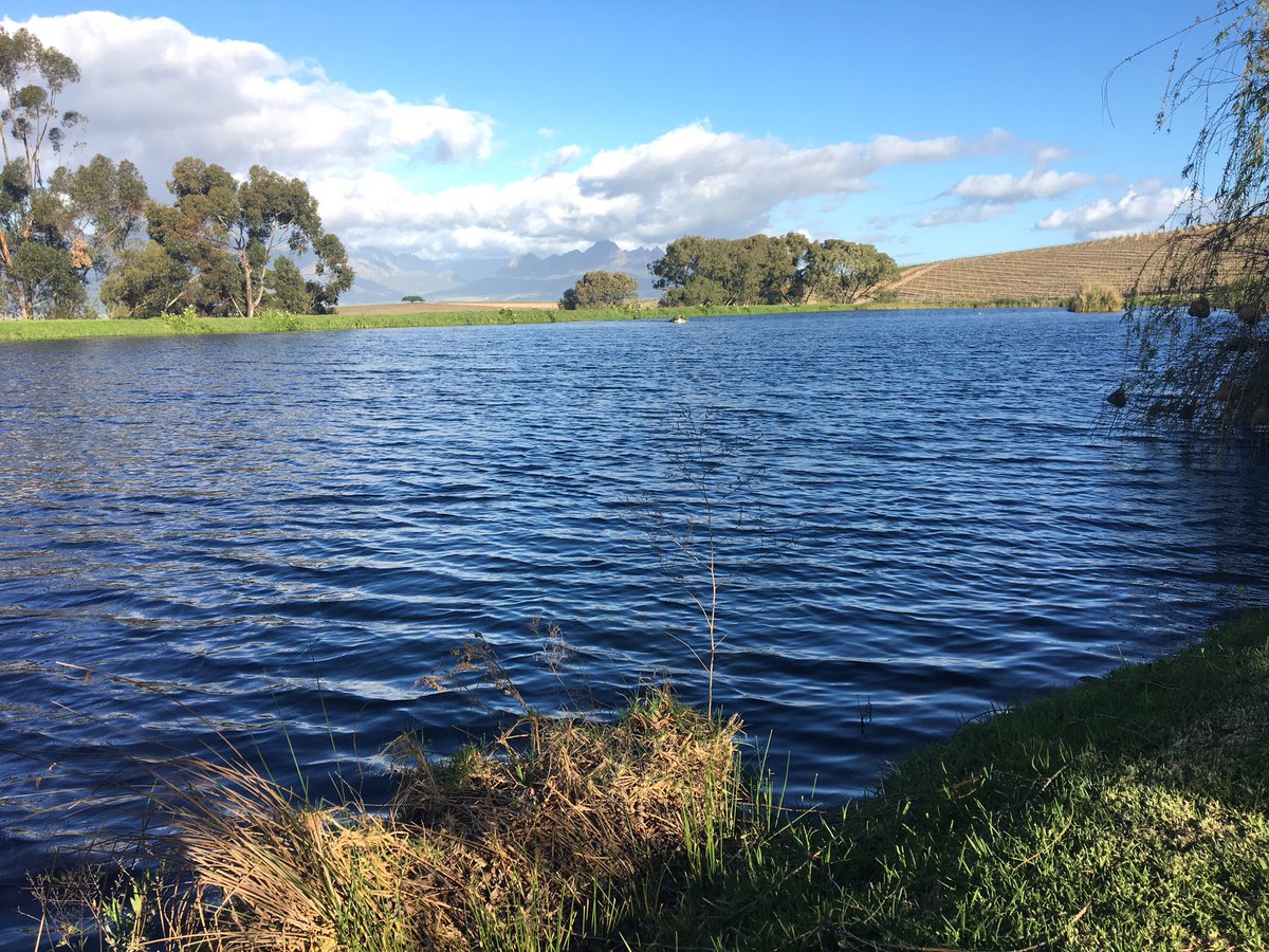 AdrenalineCPT's tweet photo. @Jordan_Wines doing route planning for #trailrun on the 15/10 #awesome #running fabulous setting ⛰😁💪🏼⭐️👟!! https://t.co/leZXFZl4dO