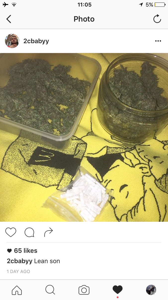 doomedjayden's tweet image. S/o this nigger #doomedregular