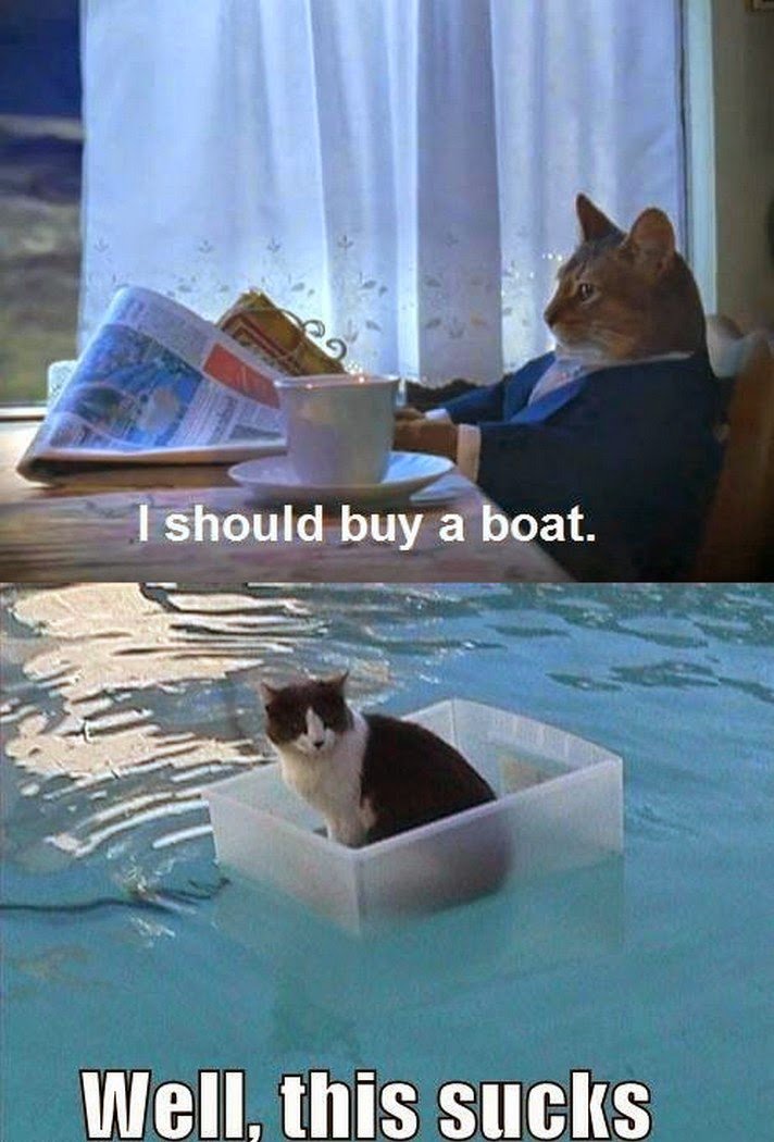 AlarmClock's tweet photo. Adventure On The High Seas Time
https://t.co/5r1a4vp7Vz
#HighSeasons #Sailing #Boats #Boating #Ships #Cruise #Yacht #Cat #CatLovers https://t.co/RDWqBWg8QI