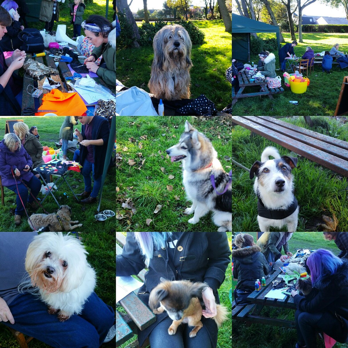 #LumiDogs workshop one was FURBULOUS! ! We had so much fun! #RevoePark #Blackpool #LightPool still time to take part