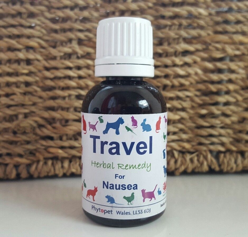 Single_Eye's tweet image. #Truth -I know a 12 year old dog that can now TRAVEL thanks to Phytopet Herbal Pet Remedy -  Help For #Cats &amp;amp; #Dogs ebay.eu/2d61AMe