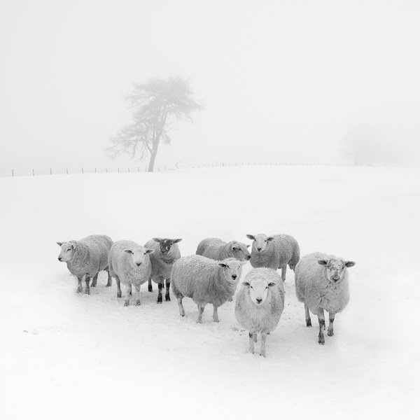 New Featured Profile: Janet Burdon
 Portfolio: ndmagazine.net/photographer/j…