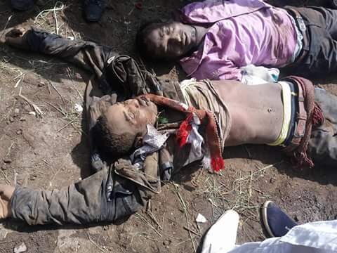 View image on Twitter View image on Twitter