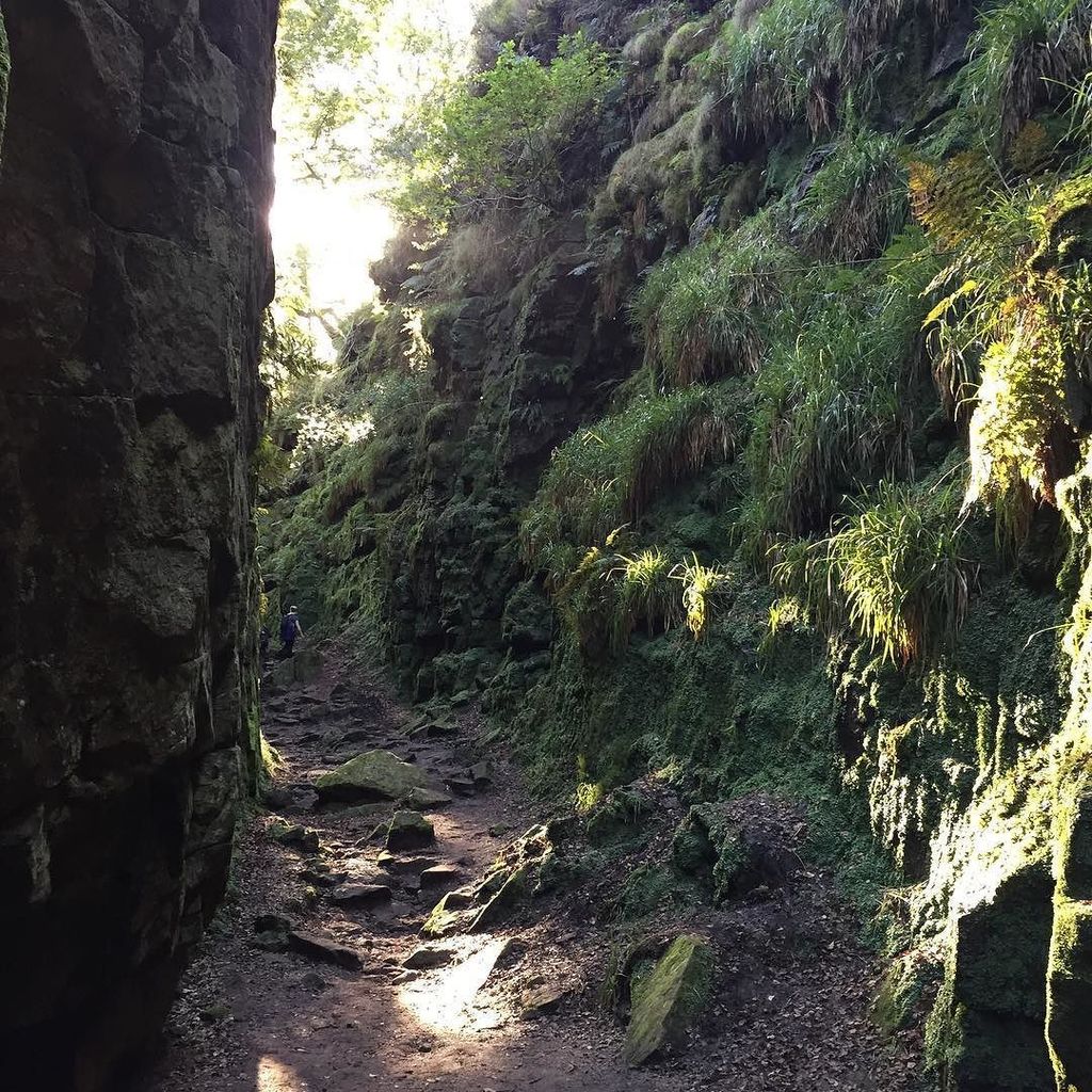 Gradbach Mill and Farmhouse are ideal bases for #peakdistrict #staffordshire #walks from t… ift.tt/2dHnREO
