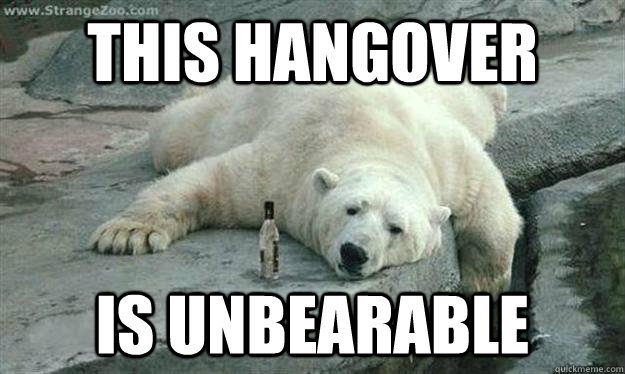 sugarKilmarnock's tweet photo. Hope you had a great night last night guys and the hangover is...eh?..#Bearable #Sorry #BadJoke https://t.co/wCNnz1XG6K