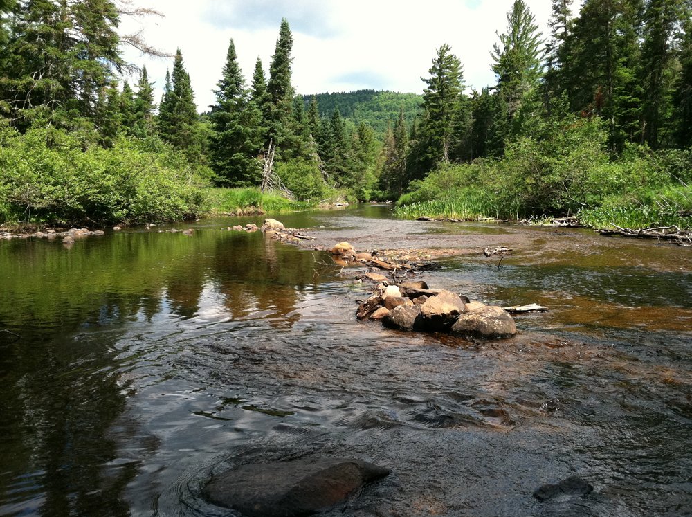 adk_council tweet picture