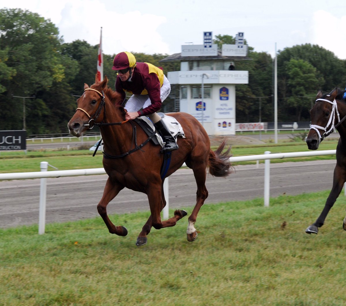 hjortebostud's tweet photo. Mont Rose (APPEL AU MAITRE - Totally Invincible ) vinder 2 åringernes  Stayerprøve. Tillykke til kredsen rundt Mont Rose. https://t.co/tJjxuzBJNF