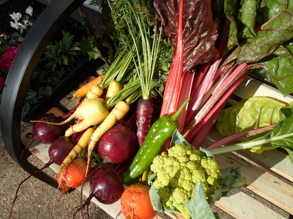 11ampersands's tweet photo. Back from the plot this lot is sunday lunch and more - going to introduce the neighbours to chard grown far too much #GrowYourOwn @GYOmag https://t.co/fWDHswHZ4S