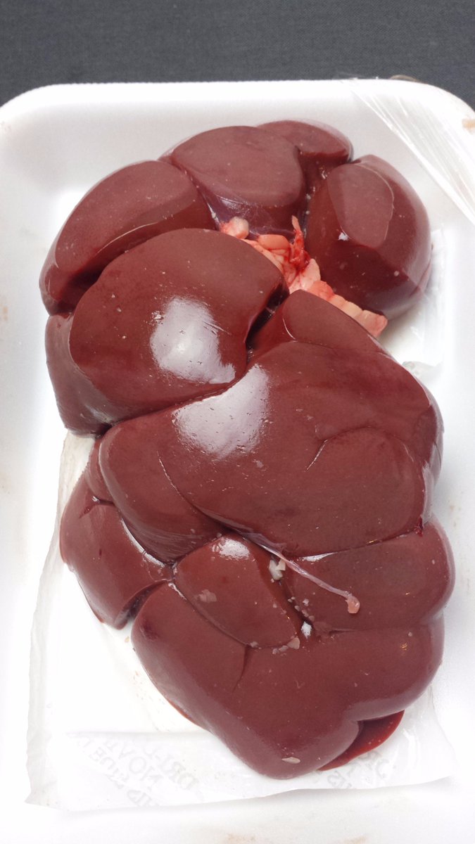 BlueHeartsUWS's tweet photo. oh I just had 2 try cooking this baby..#recipe below
#paleo #Lowfat #protein #BeefKidney https://t.co/nmT55GvnUQ https://t.co/UPEMJTyESo