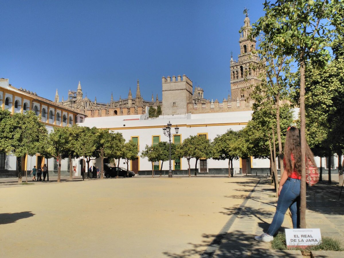 patriimca's tweet photo. Pruebas específicas.Barrio de Sta Cruz.
5.Patio de Banderas.Increible
#Sevillaesprovincia #ElRealDeLaJara @MiriamMestre_ @Sevilla_Turismo https://t.co/3VoPxnkdMR