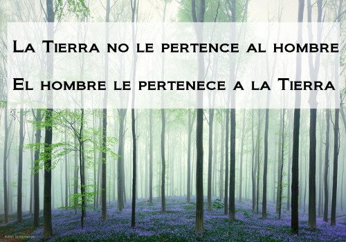 Ecogranjero's tweet photo. La Tierra no le pertenece al hombre, el hombre le pertenece a la Tierra https://t.co/omQfJ1EM7c