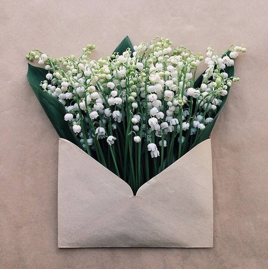 quote_aesthetic's tweet photo. https://t.co/8E3wCE6ZIC