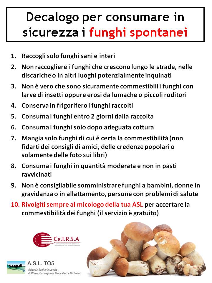 CeIRSA_org's tweet photo. Il #decalogo per consumare in sicurezza #funghi spontanei raccolti https://t.co/lvkBe7fQyS https://t.co/EdNt6zG40v