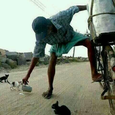 popyITS's tweet photo. Man are not only for human; man are for all creature. 
#LoveAllcreature https://t.co/7WbxsRkIhd