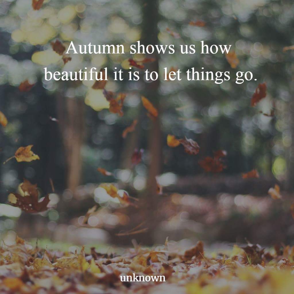 MsBPH's tweet photo. My #SuperSoulSunday post ❤

#Autumn 🍁🍂🍃🎃🍃🍂🍁

#justkeepgoing #prayer #faith #universe #letgo #October #OctoberIntentions #OctoberSurprise 🎃 https://t.co/ptNz9SiKFO