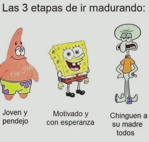 LaSabrotsa's tweet photo. Estoy entre bob esponja y calamardo... https://t.co/4PJJeMdf02