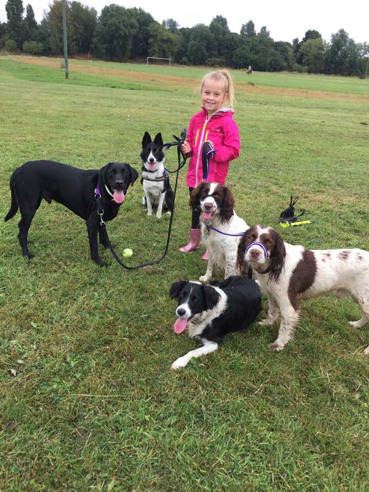 amy_0610's tweet photo. @iansomerhalder nothing better then spending time with the canines ❤️(and daughter) https://t.co/V8biaSbnds