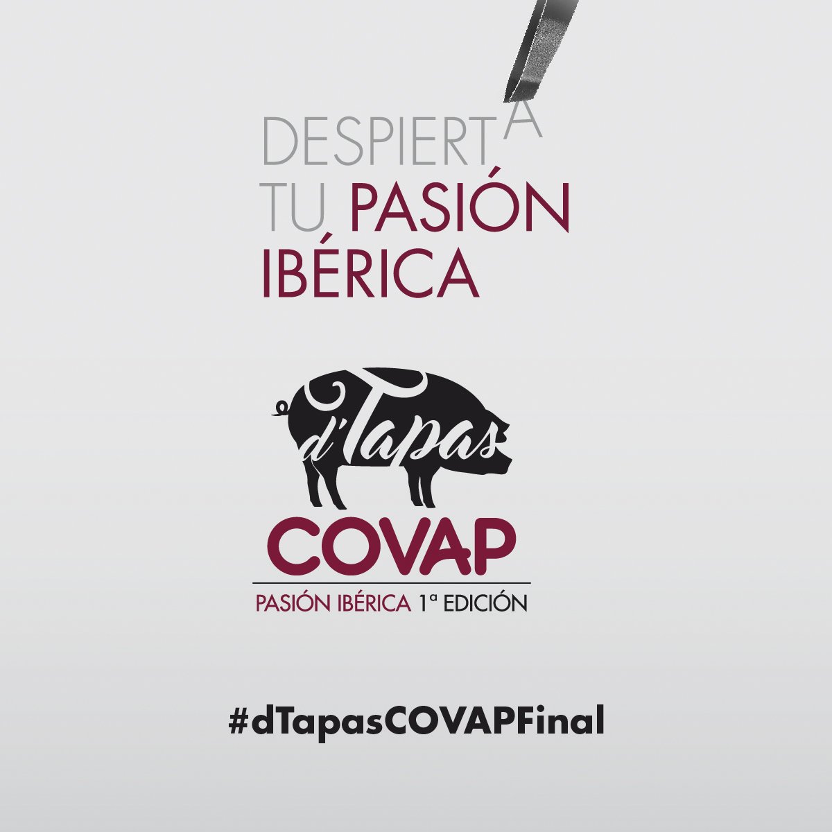 altaexpresion_'s tweet photo. ¡Mañana es el día! Gran final del #Concurso #dTapasCOVAP en @nineuON @ssgastronomika. Síguelo en: #dTapasCOVAPFinal https://t.co/AwcHby3CHg https://t.co/uvfZzkr3if