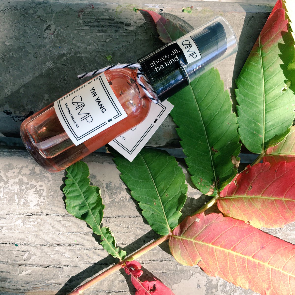 CampSkincare's tweet photo. Give your skin a head start on chilly temps and save on shipping 🍁🍂🍁 coupon code: FreeFall ➡️ https://t.co/75zDOWo76L https://t.co/zPBysMmMbc