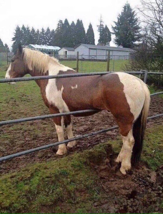 CommonESCGirl's tweet photo. Sometimes you look at something and think, HOW did that get in that position. https://t.co/63bATt55af