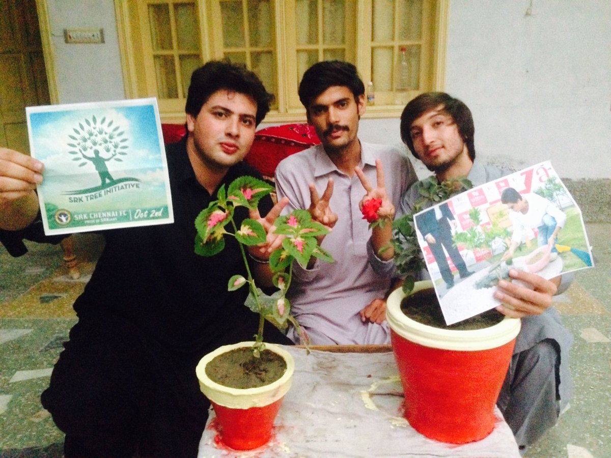 SRKPakFC_CFC's tweet photo. If we do not plant knowledge when young , it will give us no shade when we are old . 🌲
#SRKTree #SRK_Tree 
@SRKCHENNAIFC https://t.co/096EpOvSG7