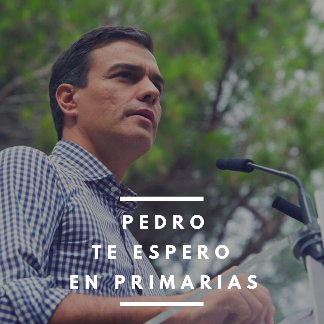 #PedroTeEsperoEnPrimarias