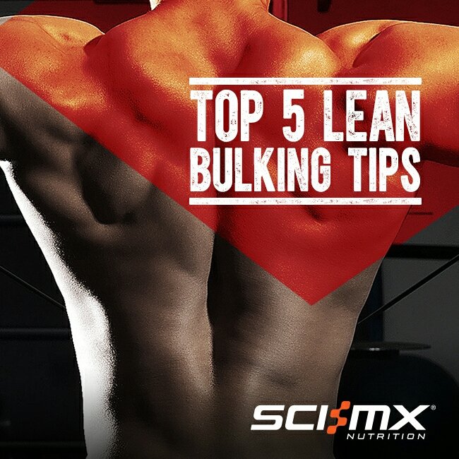 SCIMX's tweet photo. Nail bulk with our top 5 tips🏋🏋🏅 https://t.co/lTlBai6AFj #scimx #bulkingtips #fitnesstips #blog #fitnessblog #toptips #gains #protein https://t.co/EnfaF11oLk