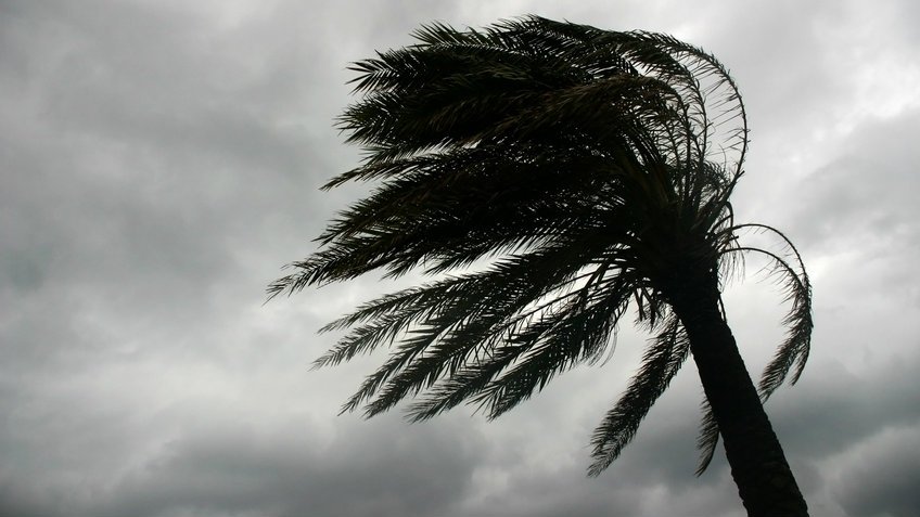 InfoENERougeShe's tweet photo. La Jamaïque et Haïti se préparent à l'arrivée de l'ouragan Matthew https://t.co/8bW6gszvac https://t.co/G7vZHseA39