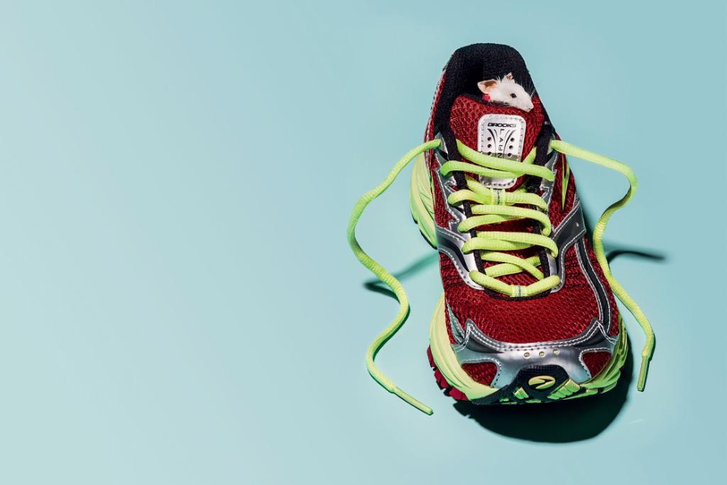 runnersworld's tweet photo. Again and again, there are squeakers who qualify for Boston—by a whisker. This is their story. #RWSelect https://t.co/8Nd7YewBqY https://t.co/muw1cZJByz