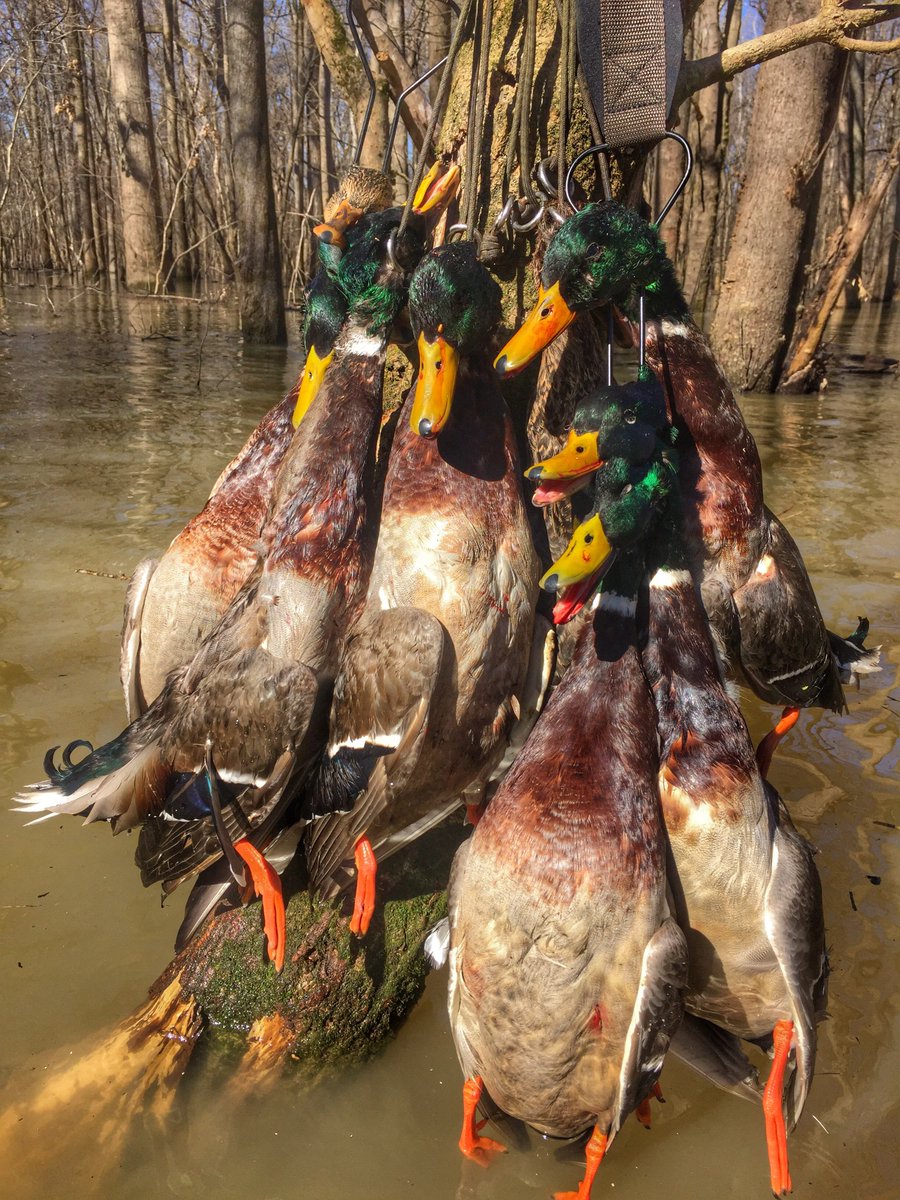 DisTewMuchYall's tweet photo. Ready to get at it..
#KillinTime #TimberHunt https://t.co/vpehwwIdHy