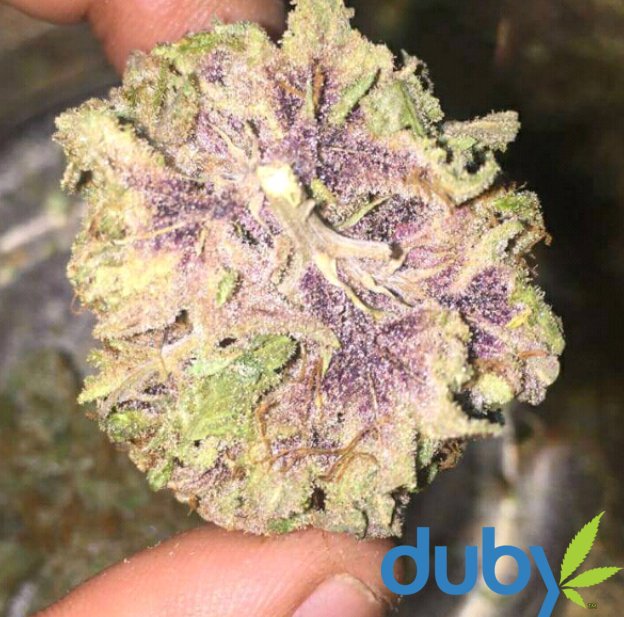 dubyapp's tweet photo. 😍It's what's on the inside that counts 😍

Follow #dopekat857 on the Duby App https://t.co/snWrxtMjDz