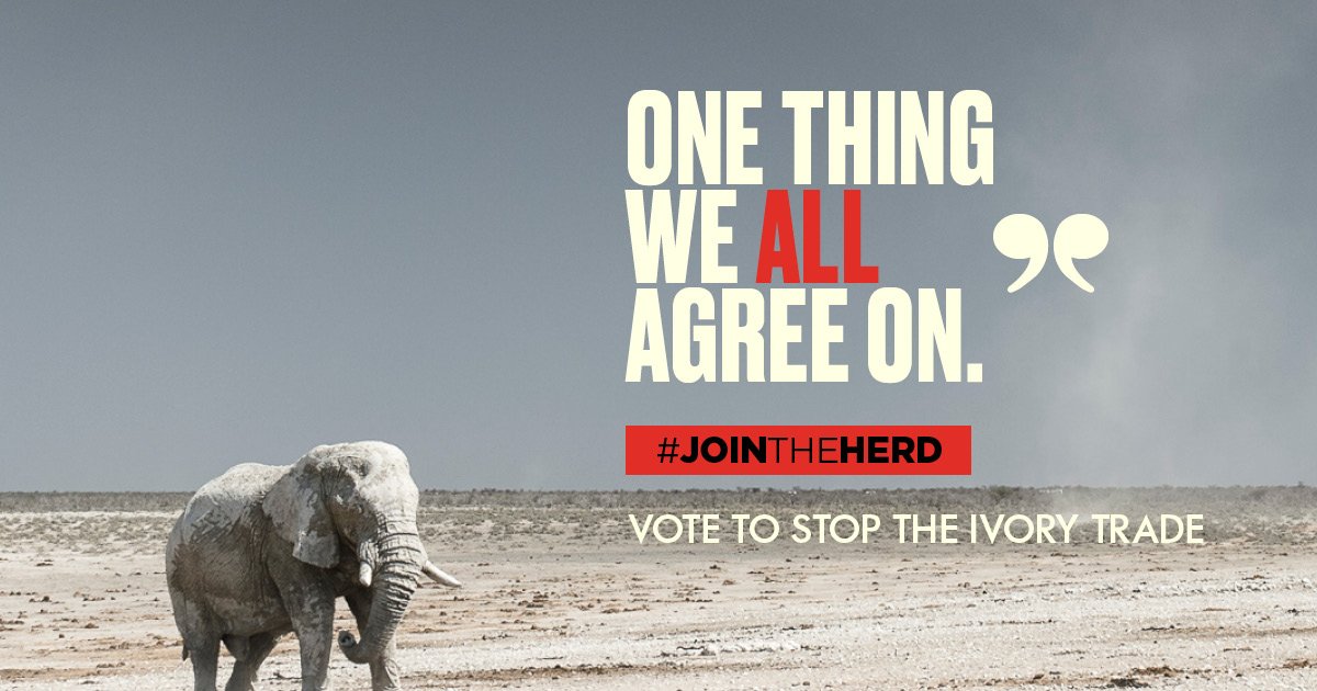 WildAid's tweet photo. .@CITES adopts resolution to close domestic #ivory markets! Big step forward 2 saving elephants. #CoP17 #JOINTHEHERD https://t.co/87q0ewsC7o https://t.co/bTS7iOknhx