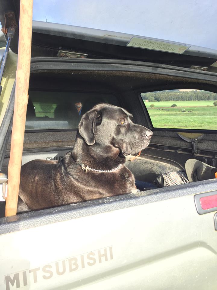 ScotNthEventing's tweet photo. Keeping an eye on all the action at @cumbriaeventing Eden Valley #horsetrials 2 today
#eventing #equestrian https://t.co/2pmkvox6J7