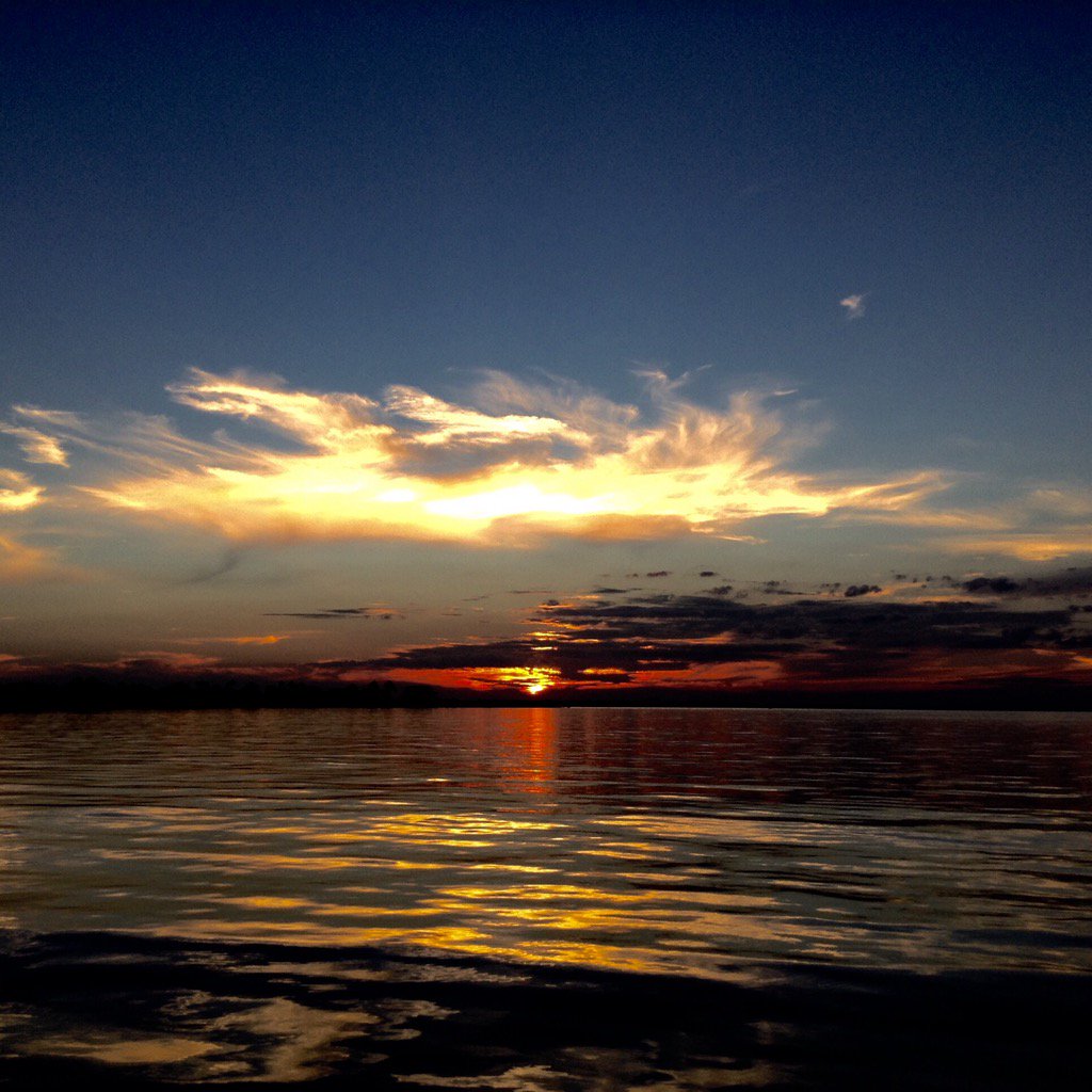 KBirtel's tweet photo. @MargaretOrr https://t.co/q8oHE6ilgk