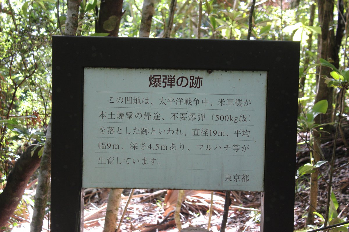 旅行写真bot 小笠原固有種 マルハチ 16年9月30日 東京都小笠原村 母島 乳房山登山道 T Co P5piht5i5g