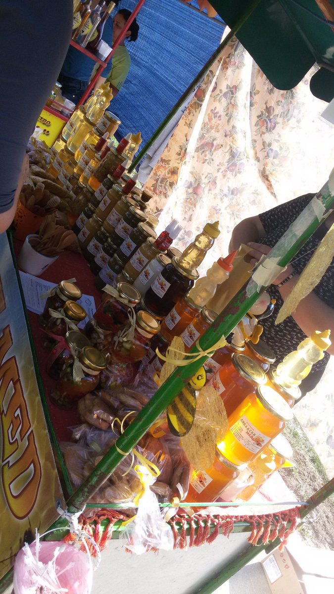 JelenaMKandic's tweet photo. #SajamMeda #Pčelarstvo2016 #HoneyExibition #BeekeepingFair #Beograd #MojaSrbija 🔴🔵⚪
Uživancija družeći se sa ovim divnim ljudima.🌳🐝🌿🍯🌲 https://t.co/KzGjeJbTIo