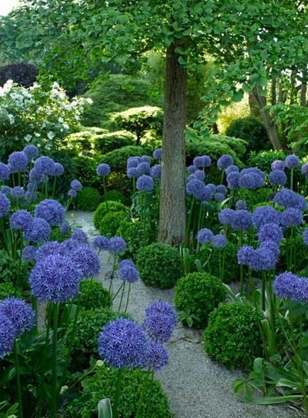 Garden Flowers tweet media