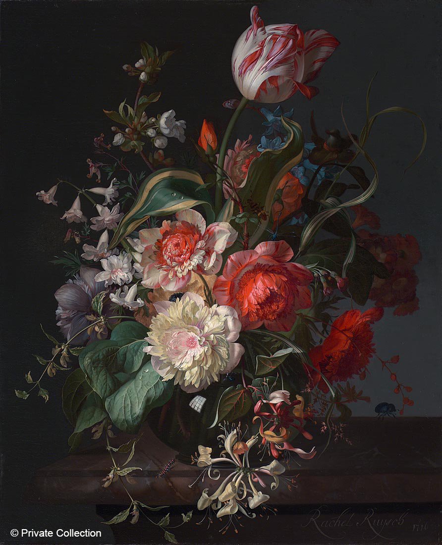 NationalGallery's tweet photo. Rachel Ruysch’s flower paintings are full of movement. In this painting, blooms are on the verge of opening: https://t.co/tHGt3Qzwvv https://t.co/p8BcEUwFjN