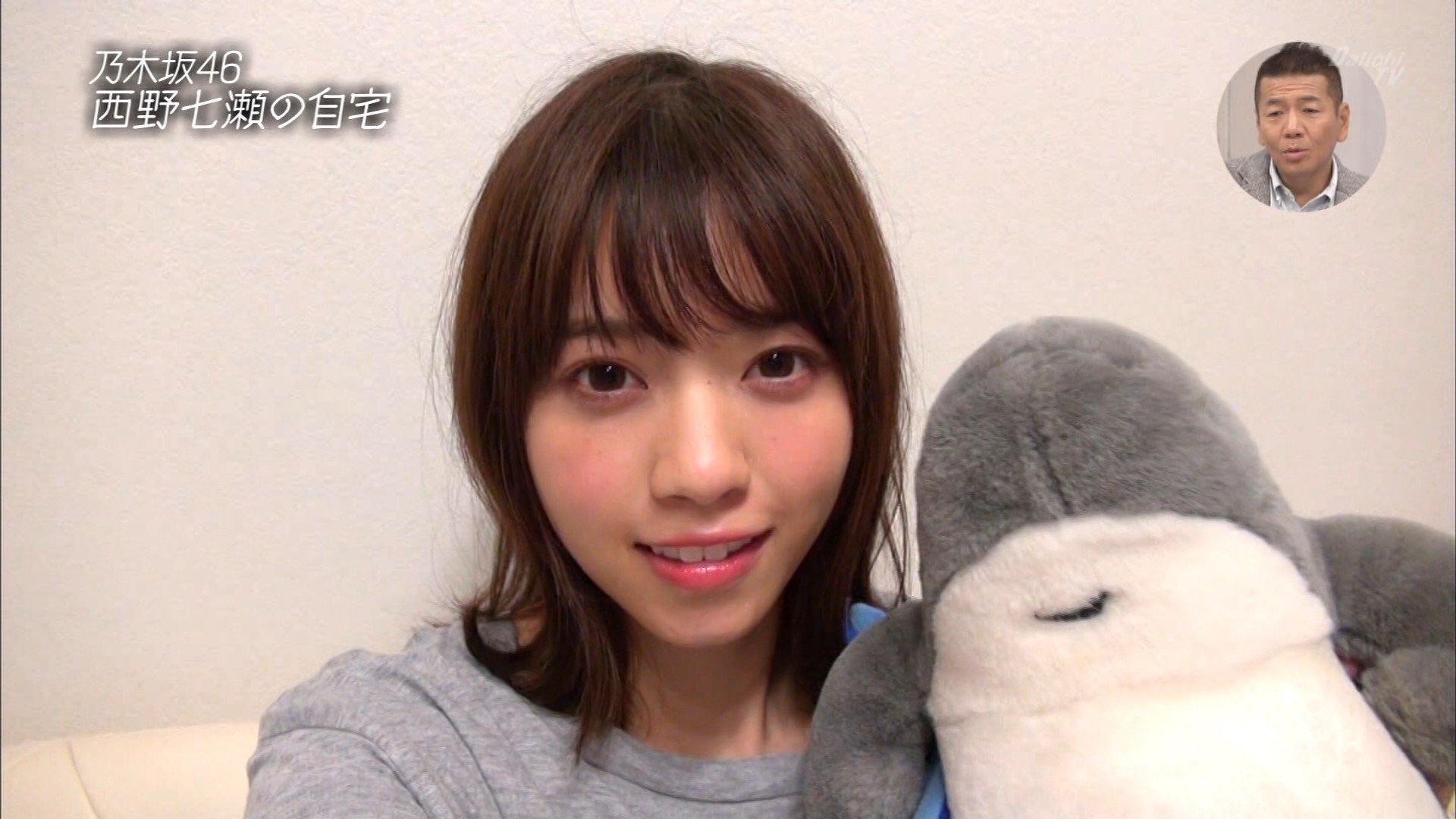 コケタニくん ぬいぐるみ 西野七瀬