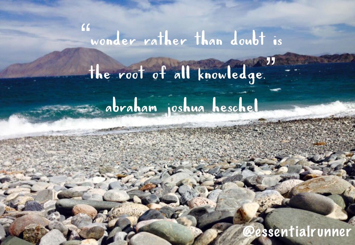 essentialrunner's tweet photo. "#Wonder, rather than doubt, is the root of all #knowledge." #neverstopwondering #neverstopwandering *Photo #BahiaDeLosAngeles 2015 https://t.co/t6wl5pJ9fW