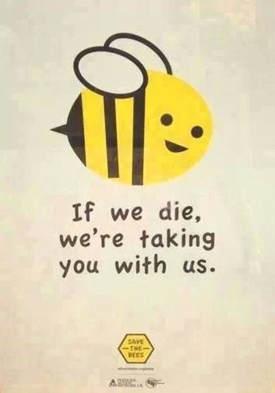laugar12's tweet photo. bees are officially on the endangered list in the US #SaveTheBees https://t.co/7ogVe0UIjR